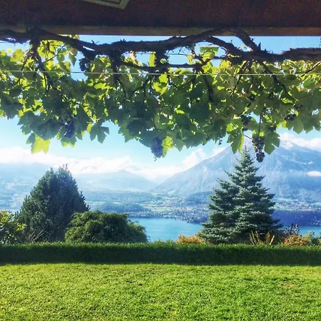 Chalet Swisshut Emmit