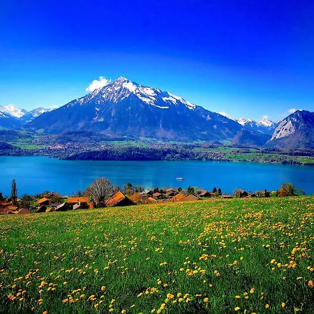 Swisshut Emmit Chalet *
